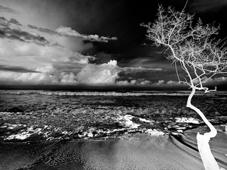Illustration for article titled Ask a Pro Photographer How He Made These Sensational Solarised Shots of Paradise